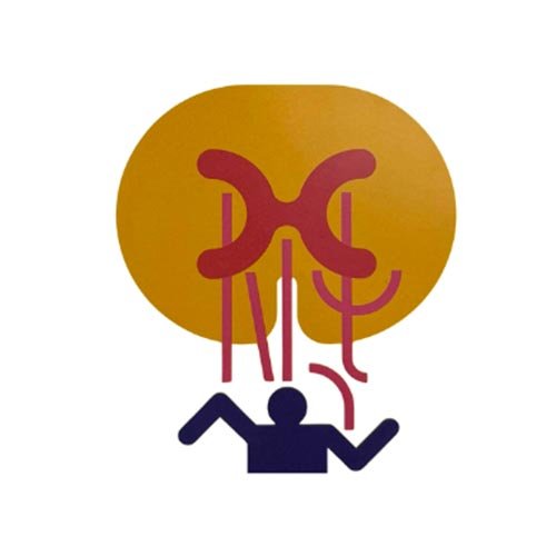 Mielites e Neuromielite Óptica